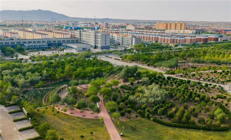 阿拉善右旗560户农牧民开启冬日“电力暖居”便捷新生活