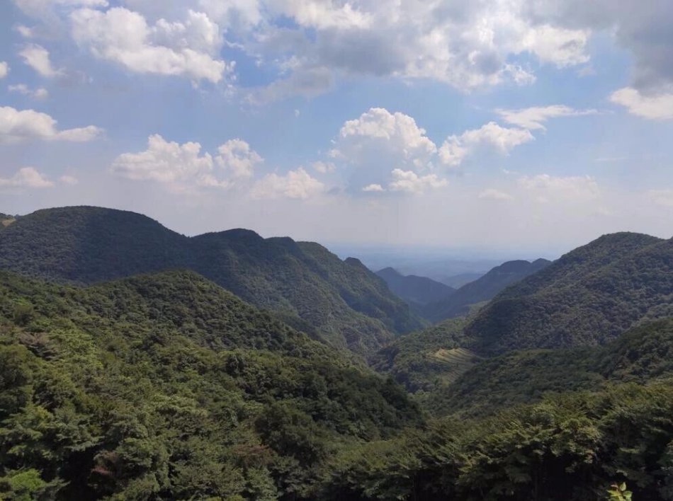 宜昌夷陵区百里荒5A级风景区《康养